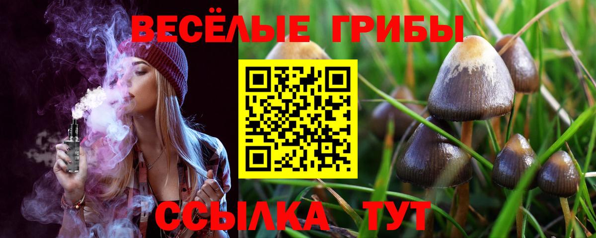 Галлюциногенные грибы Magic Shrooms  Вход с VPN  Галлюциногенные грибы мухоморы  Кинель 