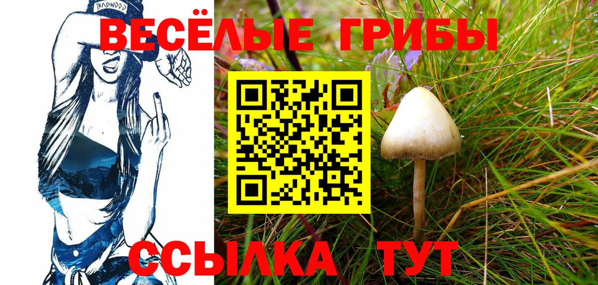 Псилоцибиновые грибы Psilocybe Кинель